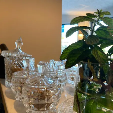 Hotell Artemis & Bistro Coquet Brioude