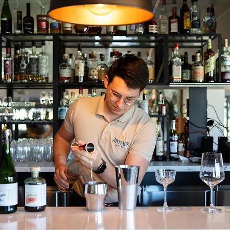 Artémis Hôtel&spa Bistro Coquet 3* Brioude