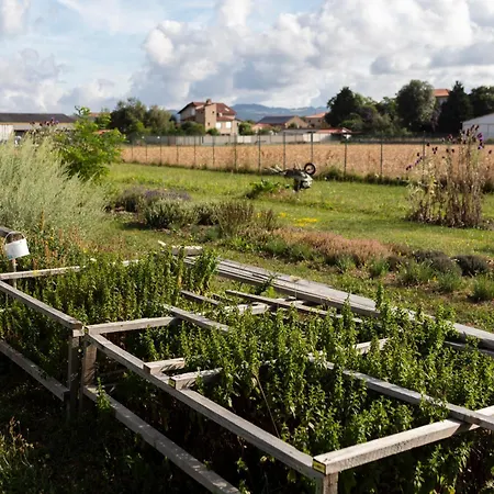 Hotel Artémis Hôtel&spa Bistro Coquet Brioude