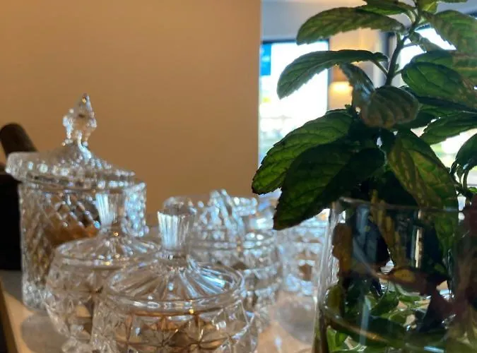 Отель Artemis & Bistro Coquet Бриуд