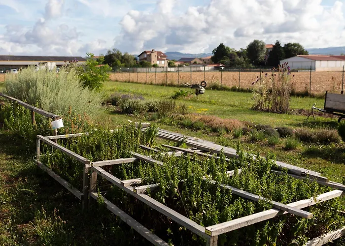 Отель Artemis & Bistro Coquet Бриуд